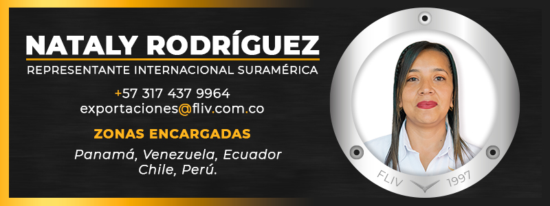 Asesora zona internacional